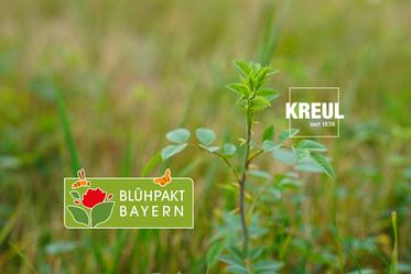 KREUL erhält Auszeichnung als „Blühender Betrieb“